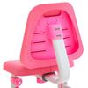Комплект растущая парта и стул RIFFORMA COMFORT-07 Lux